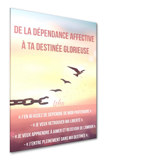 Livre : De la dépendance affective à ta destinée glorieuse (livraison gratuite)